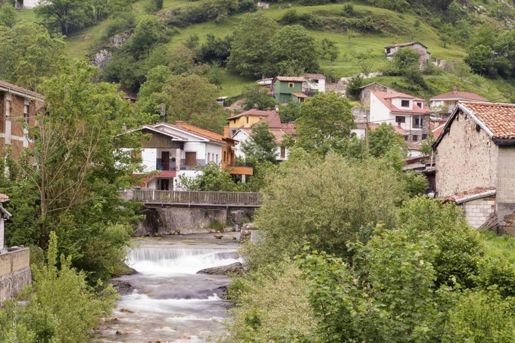 Los Molinos - Atico En Montana De Asturias Felechosa Exterior photo